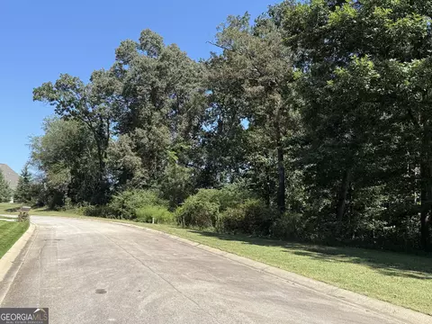 0 Mountain Vis, Clarkesville, GA 30523 photo 8