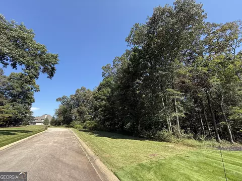 0 Mountain Vis, Clarkesville, GA 30523 photo 6