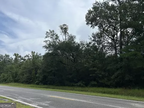 0 Barrington Ferry Rd, Riceboro, GA 31323