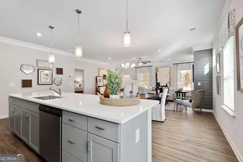 Kitchen - 513 Lamplight Dr #LOT E14, Byron, GA 31008 photo 5 of 6