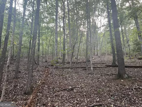 0 Rockfence Rd, Adairsville, GA 30103