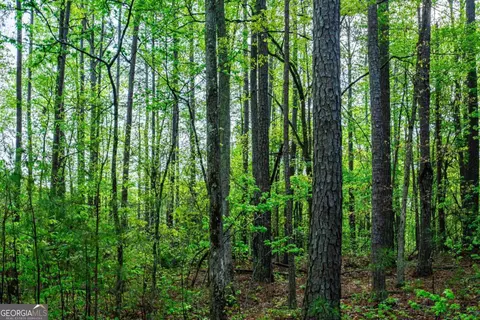 0 River Clb, Lagrange, GA 30240 photo 14