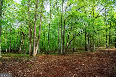 0 River Clb, Lagrange, GA 30240 photo 13