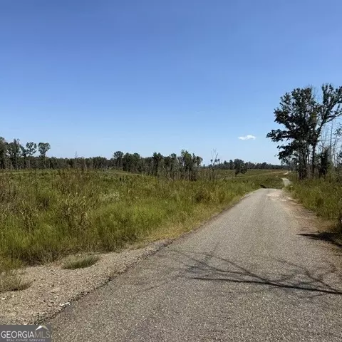 76 Acres On Gibson Rd, Talbotton, GA 31827