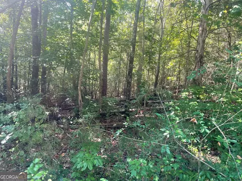 0 Apache Trl, Martin, GA 30557