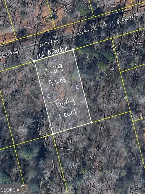 161 Apache Trl, Martin, GA 30557 photo 4