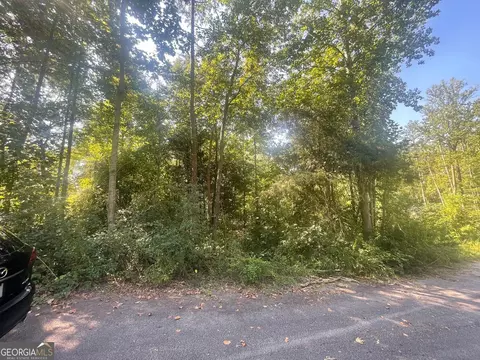 161 Apache Trl, Martin, GA 30557 photo 3