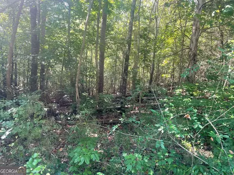 161 Apache Trl, Martin, GA 30557 photo 5