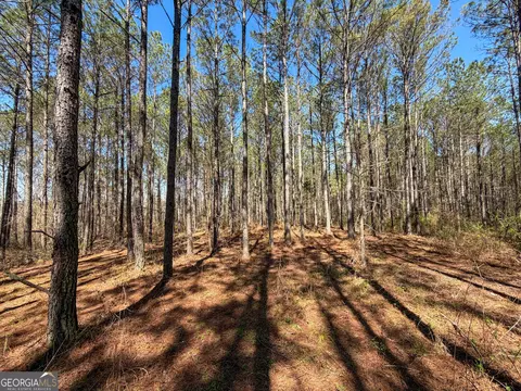 24 Acres On Ga Hwy 34 - Tract 1, Franklin, GA 30217