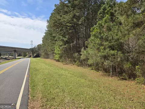 0 Bear Creek Blvd #00, Hampton, GA 30228 photo 6