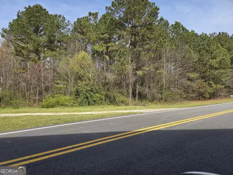 0 Bear Creek Blvd #00, Hampton, GA 30228 photo 4