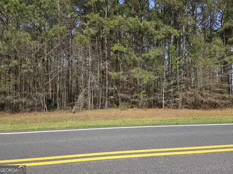 0 Bear Creek Blvd #00, Hampton, GA 30228 photo 5