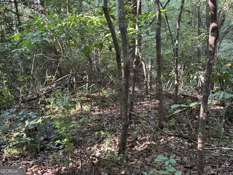 0 Professional Dr #LOT 7, Baldwin, GA 30511 photo 7