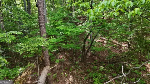 0 Terry Ct, Clarkesville, GA 30523 photo 5