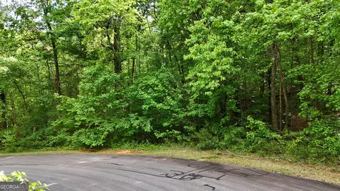0 Terry Ct, Clarkesville, GA 30523 photo 3