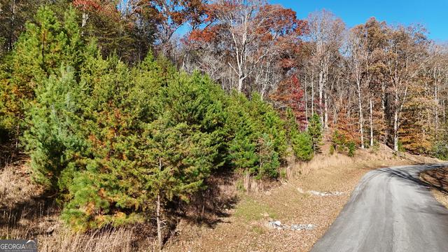 lot184 Northshore Dr, Cleveland, GA 30528