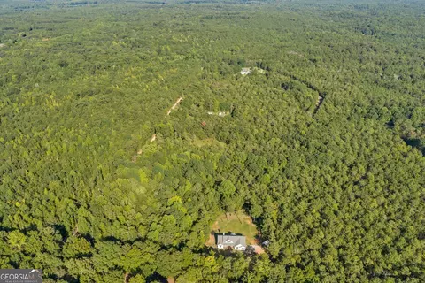 View/Area - 1466 Zellner Rd, Forsyth, GA 31029 photo 2 of 6