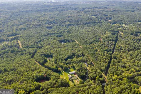 View/Area - 1466 Zellner Rd, Forsyth, GA 31029 photo 5 of 6