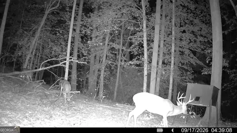 1087 E Silver Shoals Rd, Toccoa, GA 30577 photo 84
