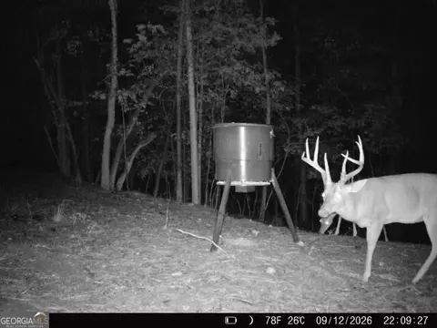 1087 E Silver Shoals Rd, Toccoa, GA 30577 photo 70