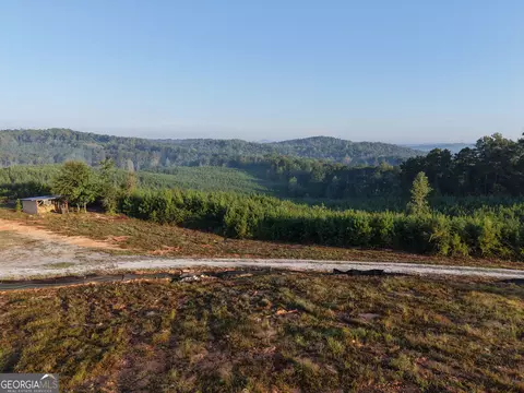 1087 E Silver Shoals Rd, Toccoa, GA 30577 photo 26