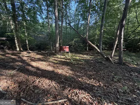 1087 E Silver Shoals Rd, Toccoa, GA 30577 photo 49