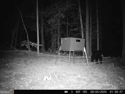 1087 E Silver Shoals Rd, Toccoa, GA 30577 photo 75