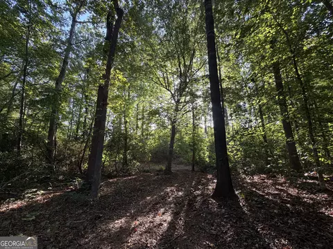 1087 E Silver Shoals Rd, Toccoa, GA 30577 photo 51