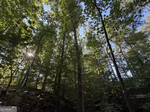 1087 E Silver Shoals Rd, Toccoa, GA 30577 photo 64