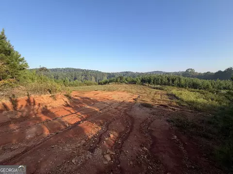 1087 E Silver Shoals Rd, Toccoa, GA 30577 photo 40