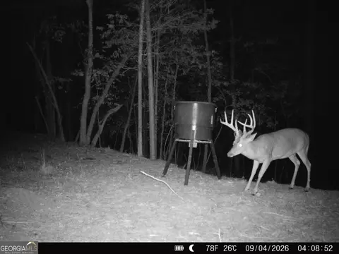 1087 E Silver Shoals Rd, Toccoa, GA 30577 photo 81