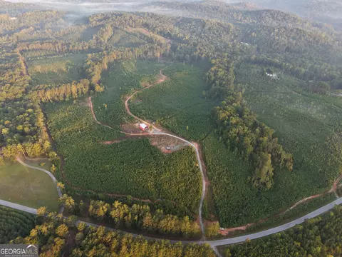 1087 E Silver Shoals Rd, Toccoa, GA 30577 photo 6