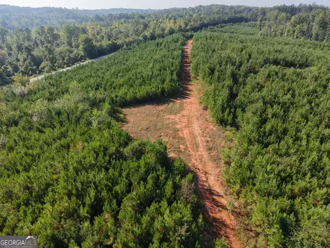 1087 E Silver Shoals Rd, Toccoa, GA 30577 photo 30
