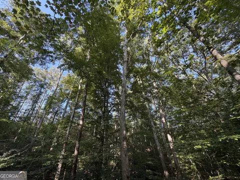 1087 E Silver Shoals Rd, Toccoa, GA 30577 photo 63