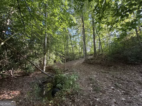 1087 E Silver Shoals Rd, Toccoa, GA 30577 photo 52