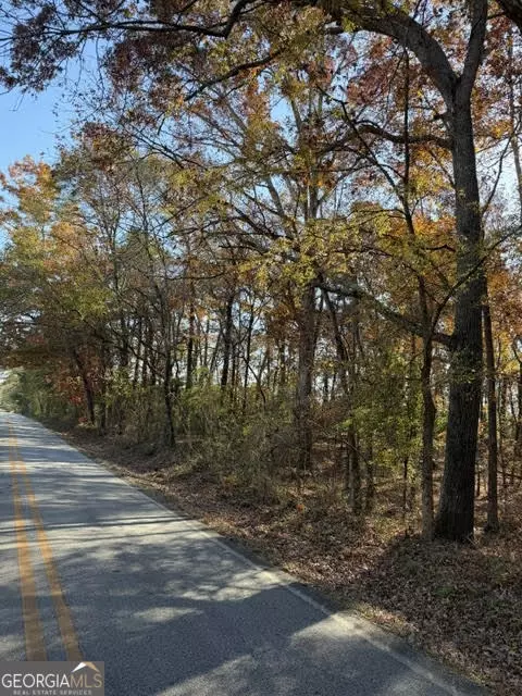 0 Adams Rd #TRACT 7, Covington, GA 30014 photo 2