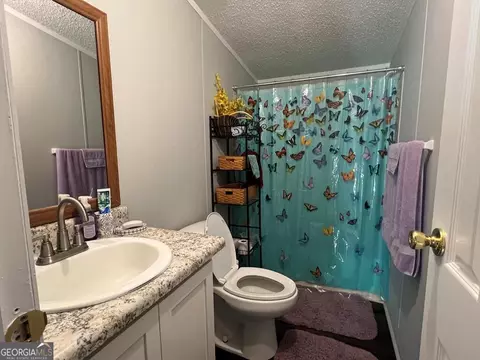 Bath - 166 Pebble Hills Rd, Cochran, GA 31014 photo 5 of 5
