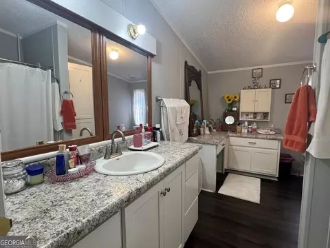 Bath - 166 Pebble Hills Rd, Cochran, GA 31014 photo 1 of 5