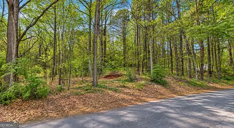 0 Pearidge Rd, Canton, GA 30114 photo 6