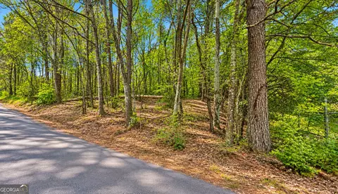 0 Pearidge Rd, Canton, GA 30114 photo 7