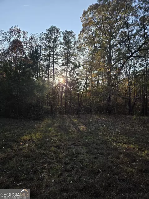 Other - 571 King Bostick Rd, Covington, GA 30016 photo 3 of 5