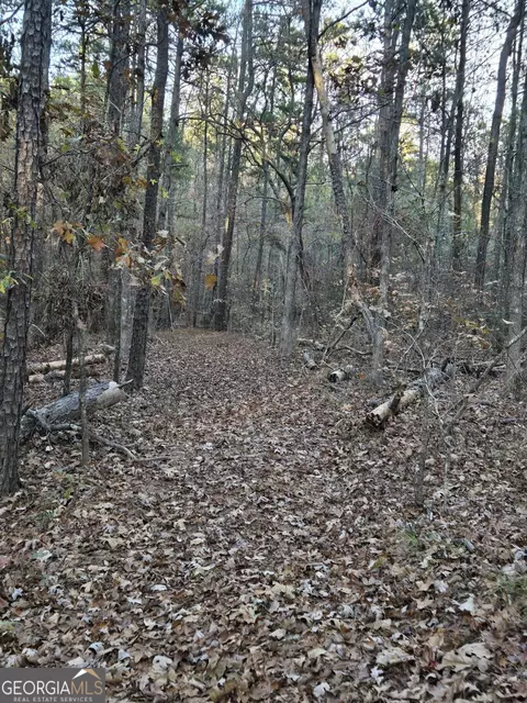 Other - 571 King Bostick Rd, Covington, GA 30016 photo 4 of 5