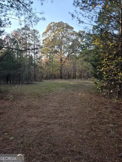 Other - 571 King Bostick Rd, Covington, GA 30016 photo 5 of 5