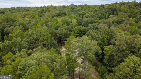 Other - 263 Cole Lake Dr, Toccoa, GA 30577 photo 5 of 20