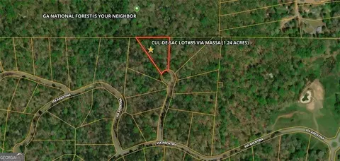 85 Via Massa, Dahlonega, GA 30533