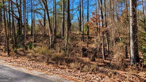 0 Tolbert Rd, Temple, GA 30153 photo 7