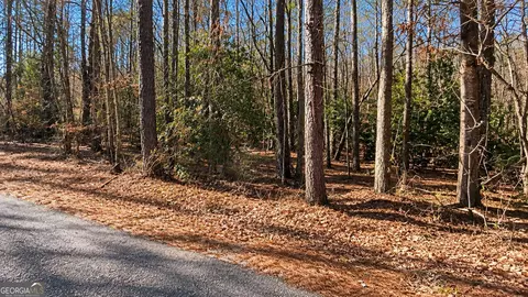 0 Tolbert Rd, Temple, GA 30153 photo 5
