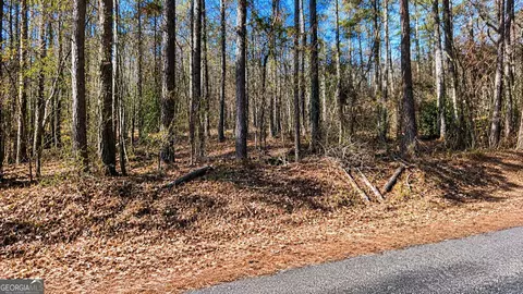 0 Tolbert Rd, Temple, GA 30153 photo 3