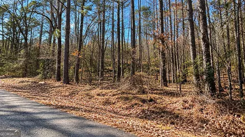 0 Tolbert Rd, Temple, GA 30153 photo 4