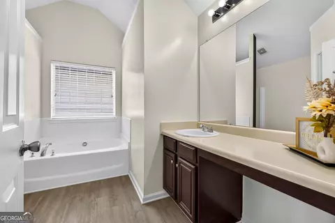 Bath - 11240 Aliyah Dr, Hampton, GA 30228 photo 2 of 5